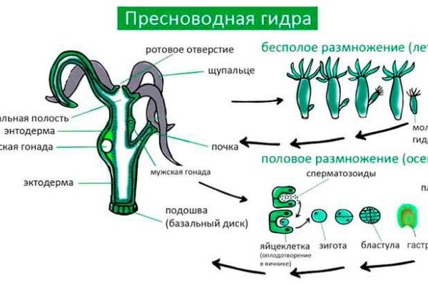 Официальный сайт кракен тор